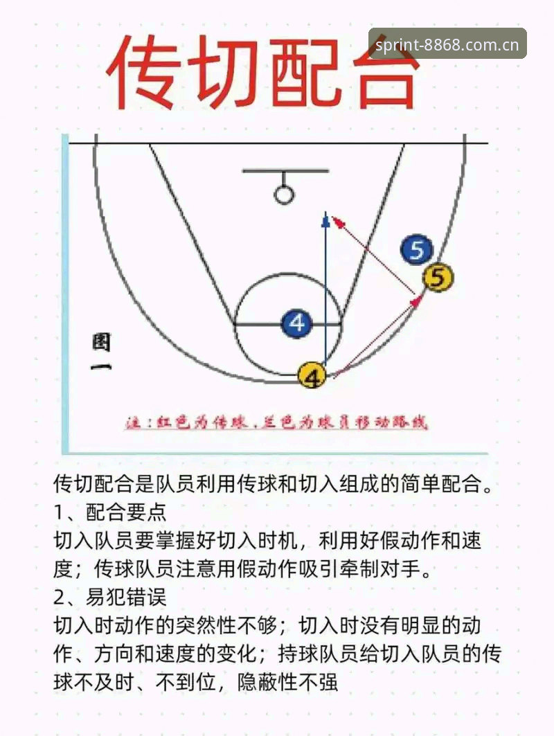 揭秘体育游戏背后的真相：8868体育官网如何提升你的实战体验