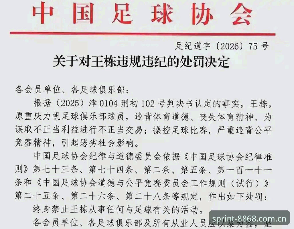 体育沉浸式体验使用技巧 中国足协第三批禁足名单深度分析:65人受罚背后的行业整顿与体育精神重塑